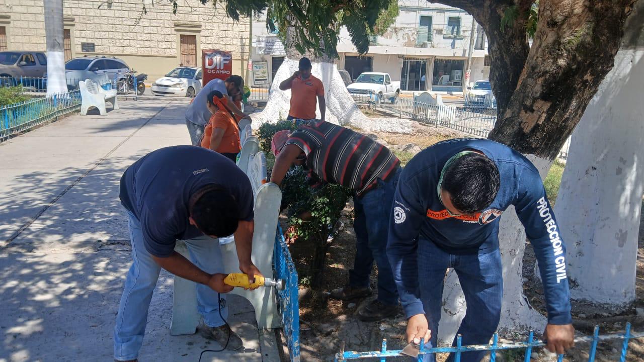 El Gobierno de Ocampo realiza labores de mantenimiento y embellecimiento en la Plaza Principal